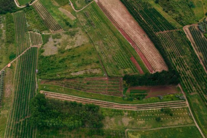 Conferência-debate “A integração das DRAP nas CCDR: o território e os efeitos sobre os agricultores”