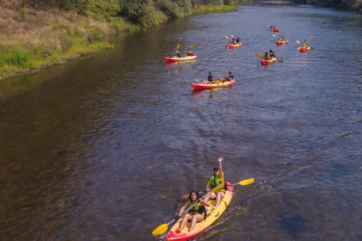 Ação “Juntos vamos ajudar a limpar as margens do Rio Mondego!”