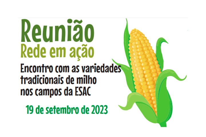 Reunião Rede em Ação – Encontro com as variedades tradicionais de milho nos campos da ESAC