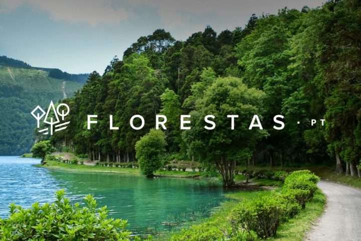 Plataforma Florestas.pt – Sessões de apresentação
