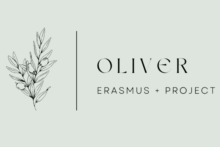 Transnational Knowledge Share Meeting – OLIVER Project