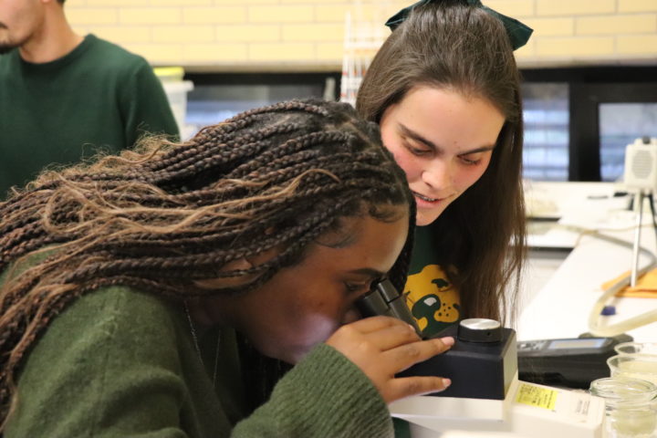 Semana da Ciência e da Tecnologia 2023 assinalada na ESAC