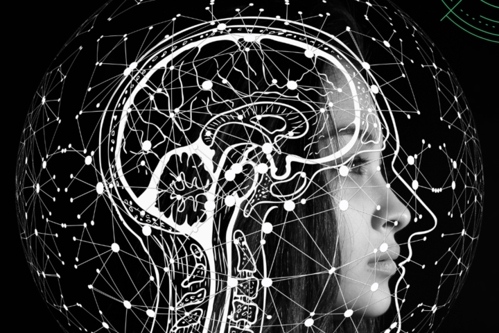 Palestras na área da Fisiologia Celular