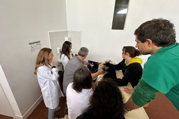 Microcredenciações são nova aposta da ESAC