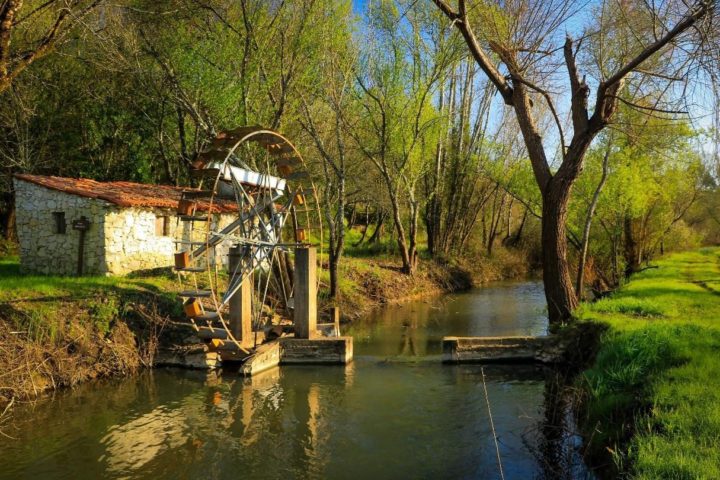 Proposta do Plano de Cogestão da Reserva Natural do Paul de Arzila em consulta pública