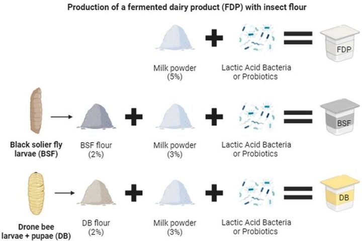 Estudante da ESAC publica artigo na revista Food Bioscience