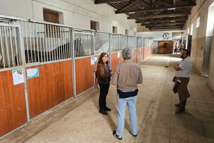 3.º Workshop Nacional do projeto EUnetHorse realizou-se na ESAC