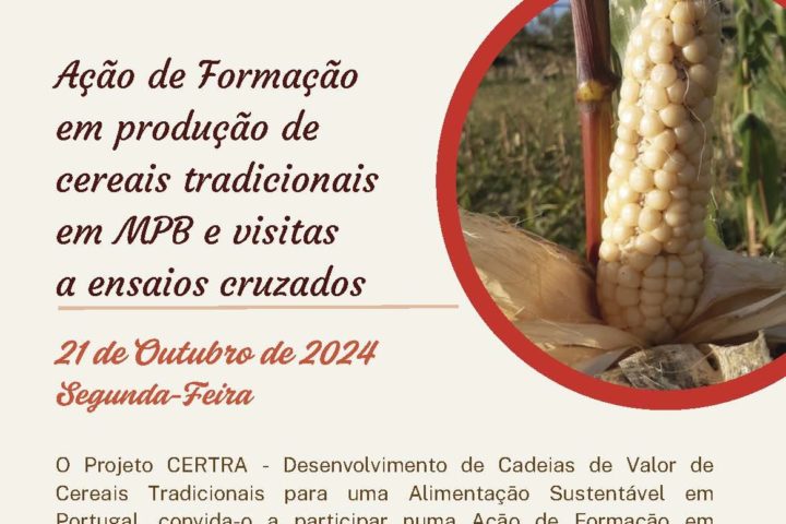 Ação de formação em produção de cereais tradicionais em MPB e visitas a ensaios cruzados