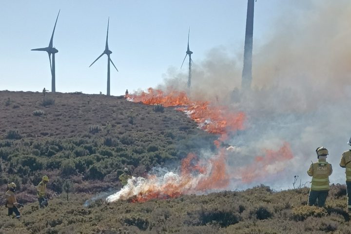 ESAC coordena 3 microcredenciais do projeto B-READY4FUTURE