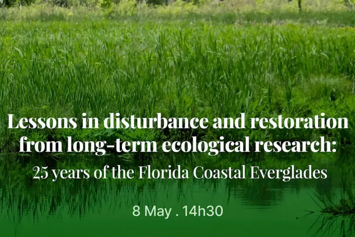 Lessons in disturbance and restoration from long-term ecological research: 25 years of the Florida Coastal Everglades