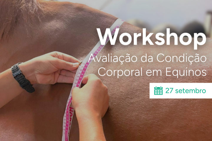 Workshop prático “Avaliação da Condição Corporal em Equinos”