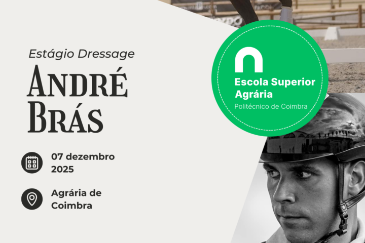 Estágio de Dressage com André Brás